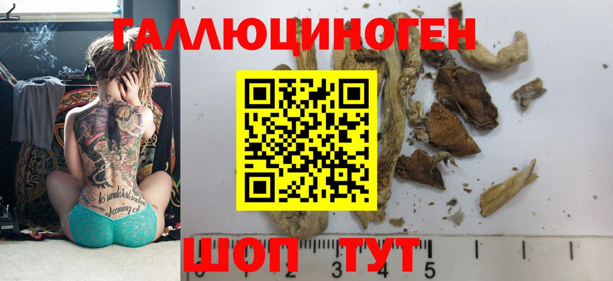 Галлюциногенные грибы прущие грибы Нерюнгри